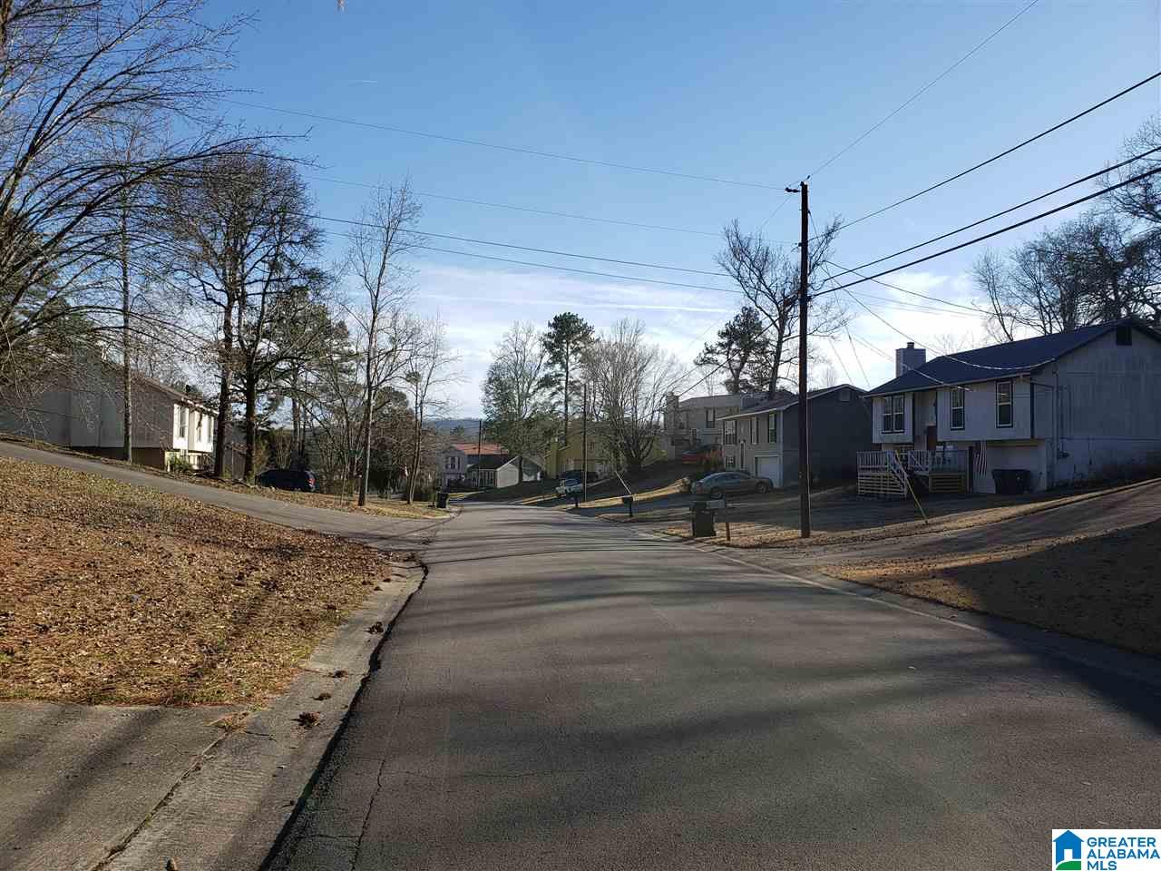 1012 Brian Drive Leeds, AL 35094 - Photo 38 of 38