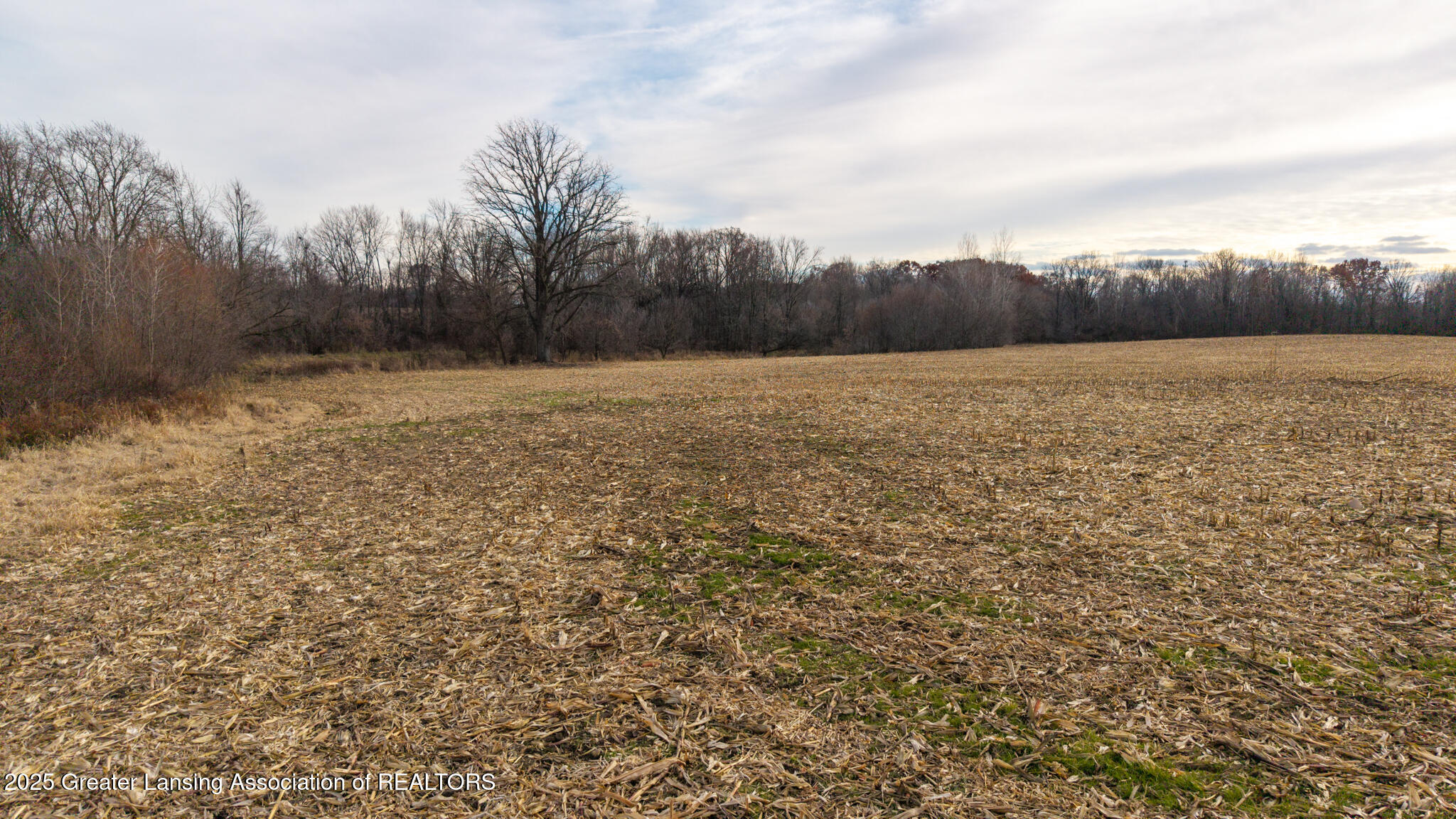 Vl Windsor Highway Dimondale, MI 48821 - Photo 28 of 31 Windsor_Hwy_37_ACRE_BROCK-28