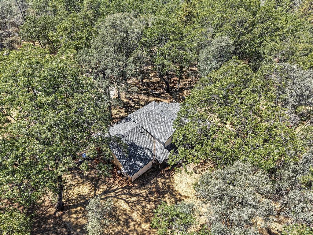 5271 Caprine Road Greenwood, CA 95635 - Photo 41 of 51 Gallery Image 41