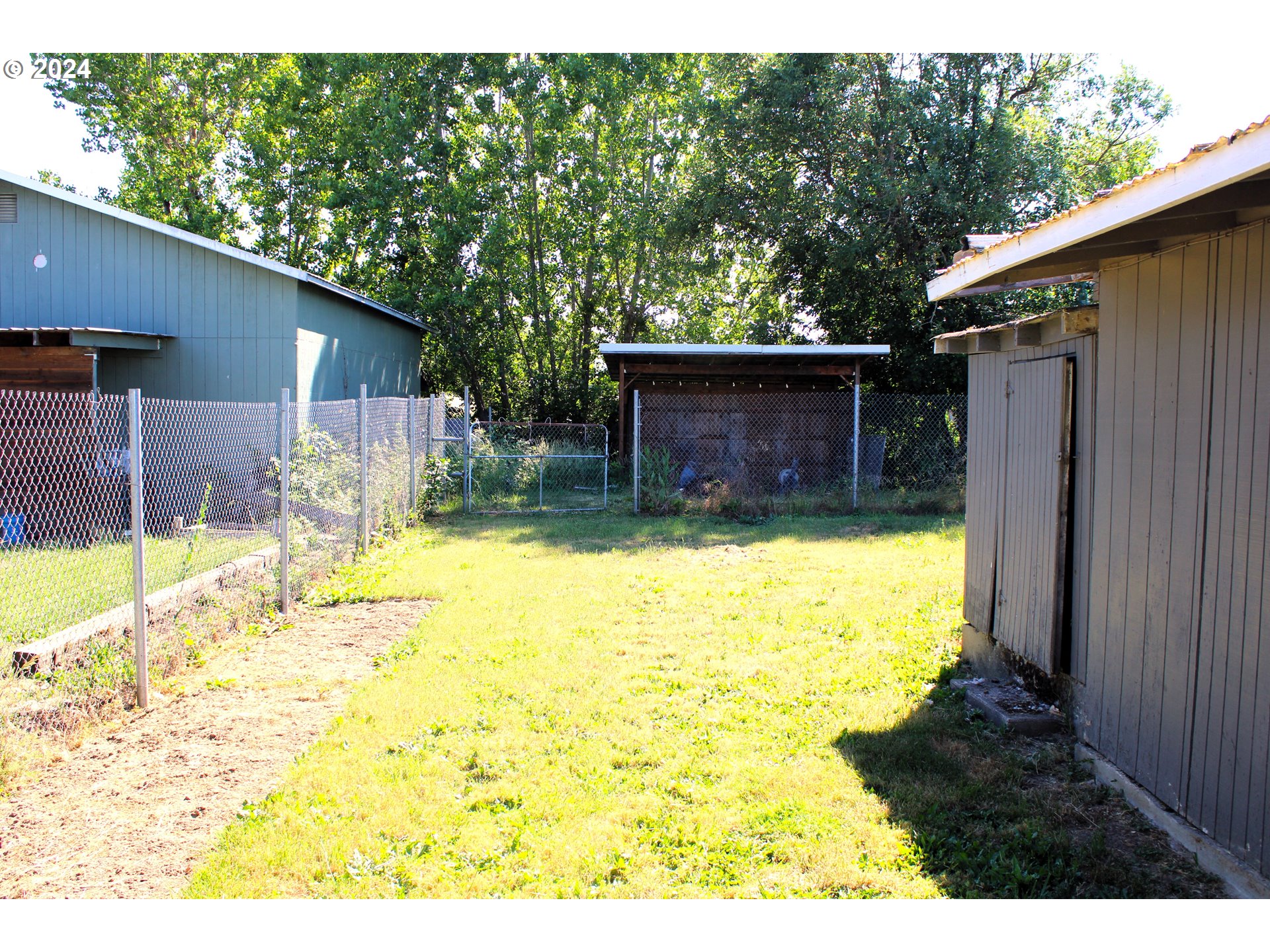 136 Park Street Riddle, OR 97469 - Photo 14 of 17 a view of a backyard with a large tree