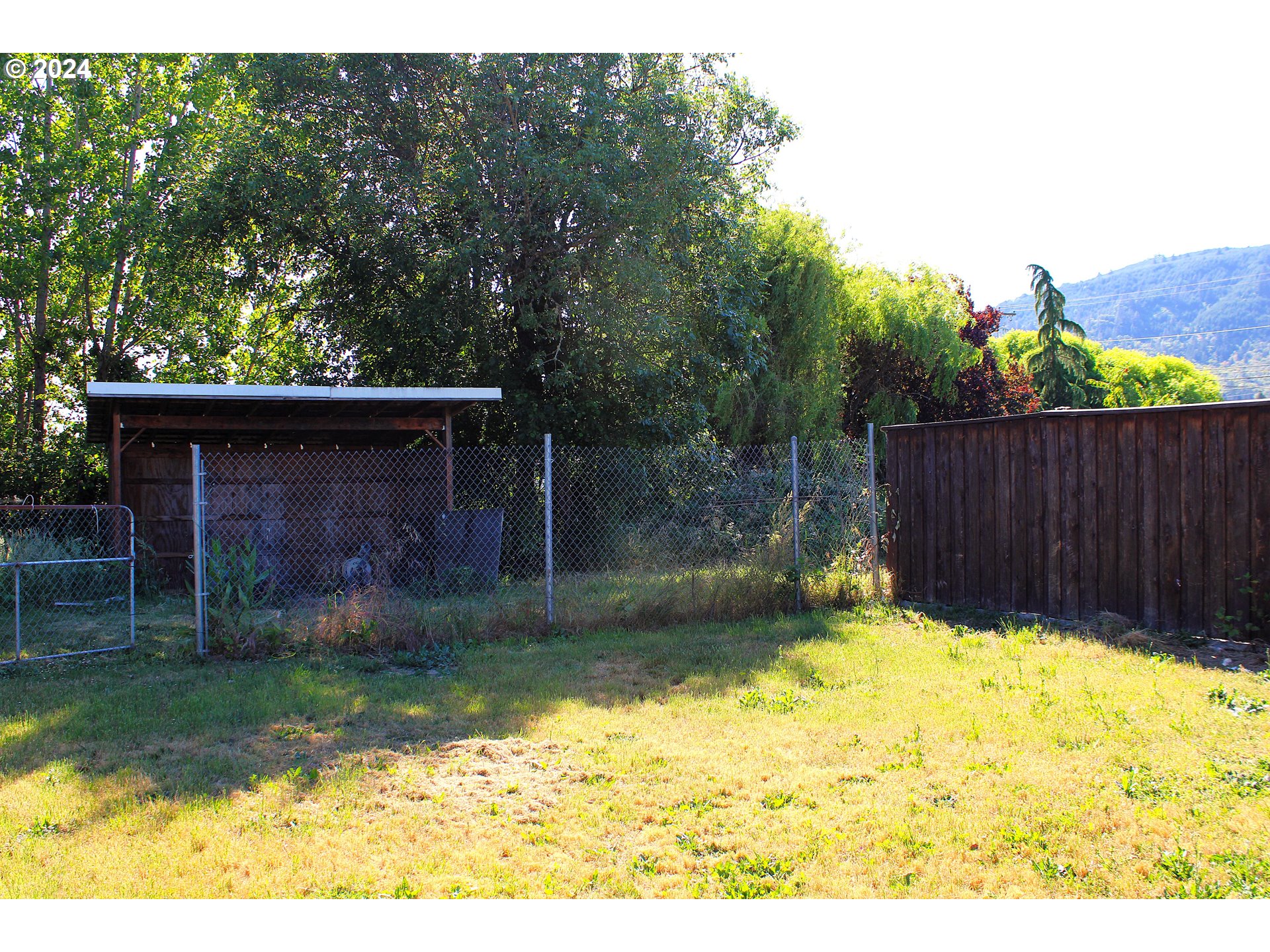 136 Park Street Riddle, OR 97469 - Photo 15 of 17 a view of back yard of the house