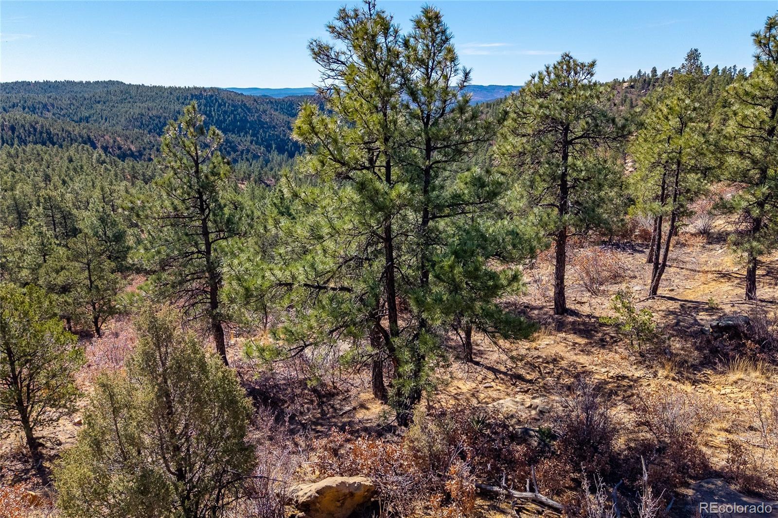 13240 Big Pine Ridge Road Weston, CO 81091 - Photo 46 of 49 Gallery Image 46