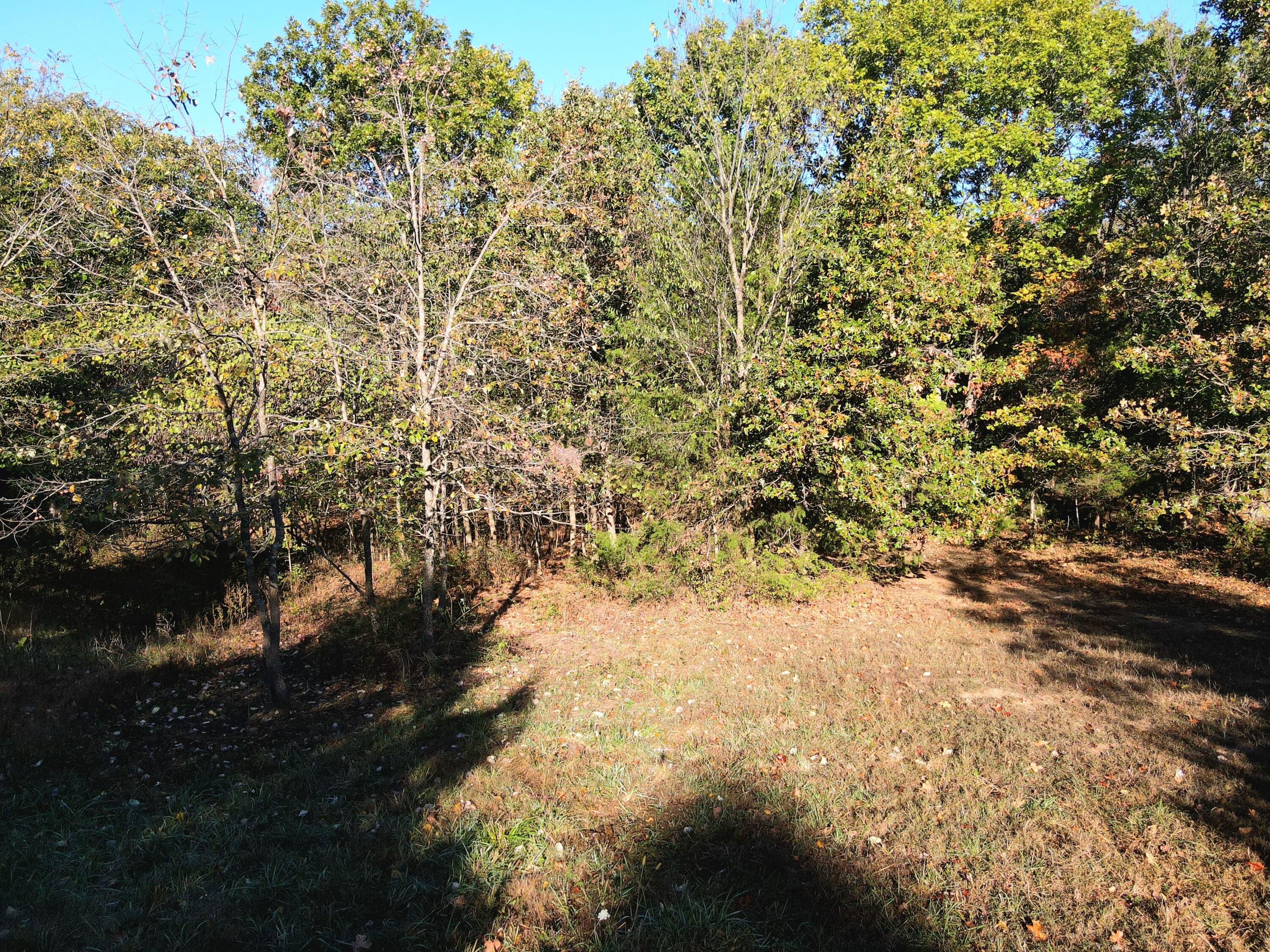3121 South 25th Road Humansville, MO 65674 - Photo 32 of 34 dji_fly_20251022_093200_37_1761144293100
