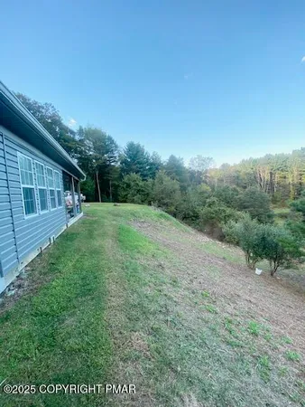 a view of a big yard with plants and a large tree