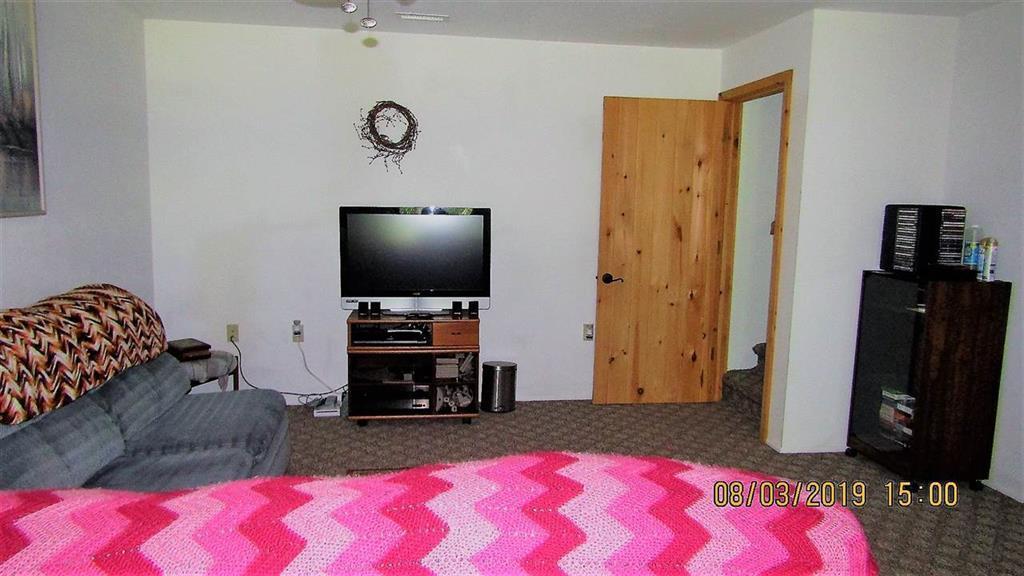 335 Goose Point Road Spring City, TN 37381 - Photo 34 of 39 20194528-49
