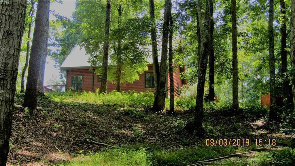 335 Goose Point Road Spring City, TN 37381 - Photo 9 of 39 20194528-11