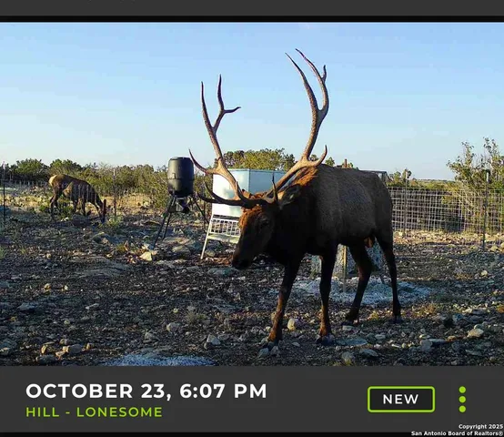 $376,800 | Tbd High Lonesome Road, Comstock, TX 78837