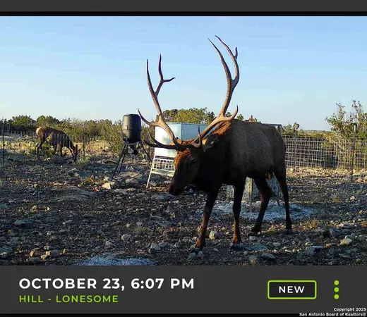 $325,775 | Tbd High Lonesome Road, Comstock, TX 78837