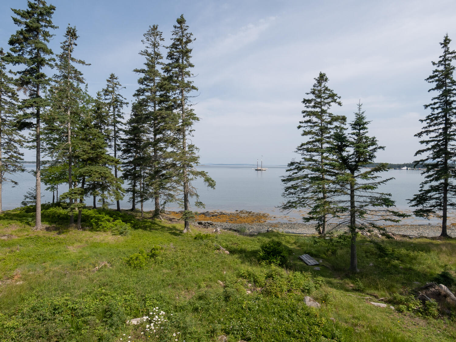 43 Steamboat Road Swans Island, ME 04685 - Photo 3 of 43 Waterfront