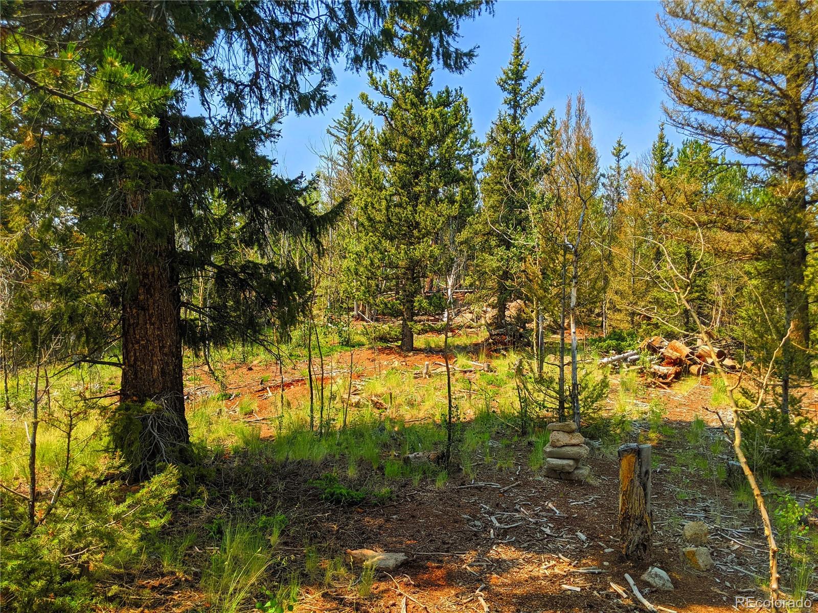 1168 Bow String Road Como, CO 80456 - Photo 34 of 35 Gallery Image 34