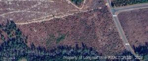 Tbd Cedar Lane Road Ellerbe, NC 28338 - Photo 1 of 14 Photo 1