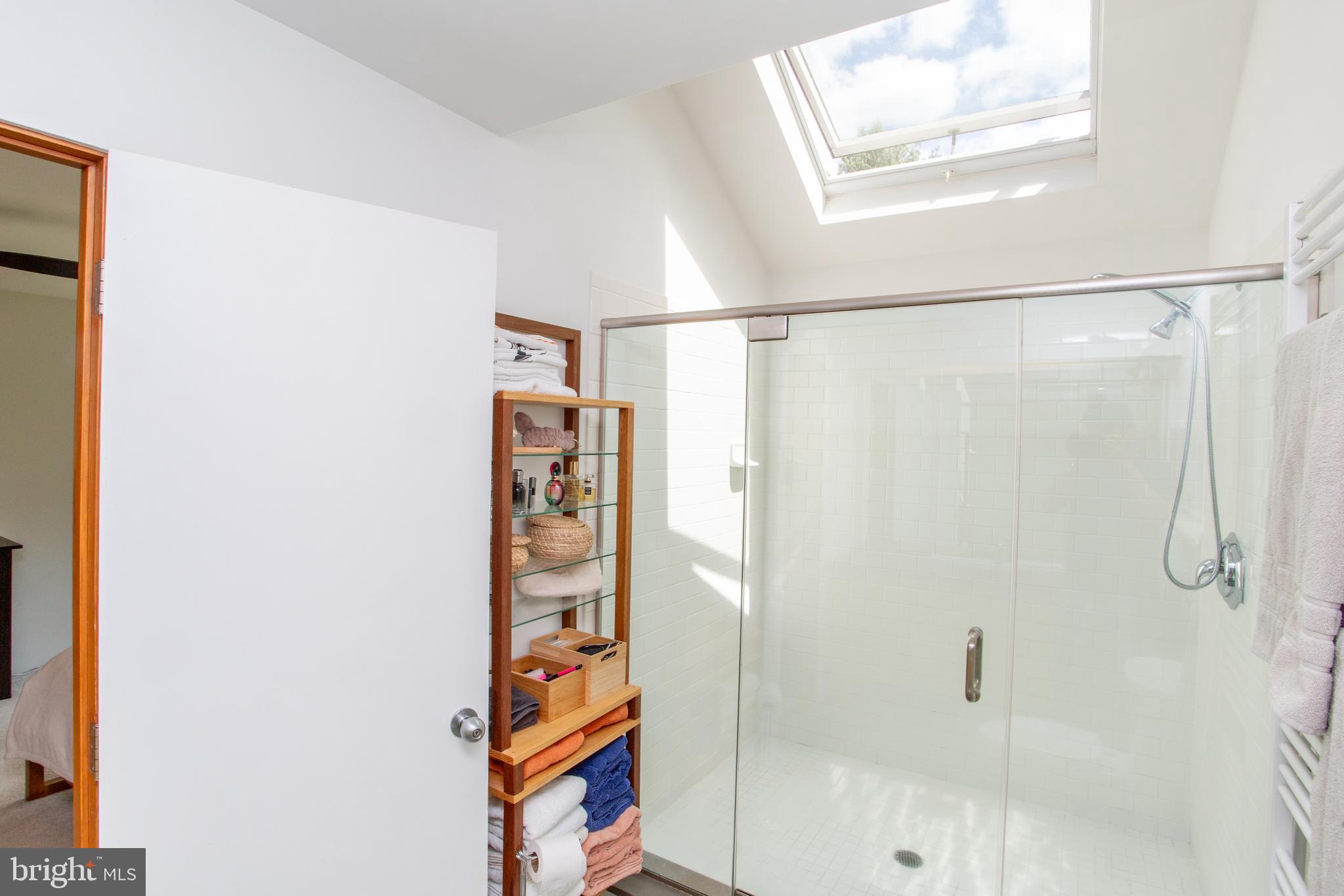 1024 Cokesbury Califon Road Lebanon, NJ 08833 - Photo 20 of 47 Walk-in shower and skylight in the primary ensuite