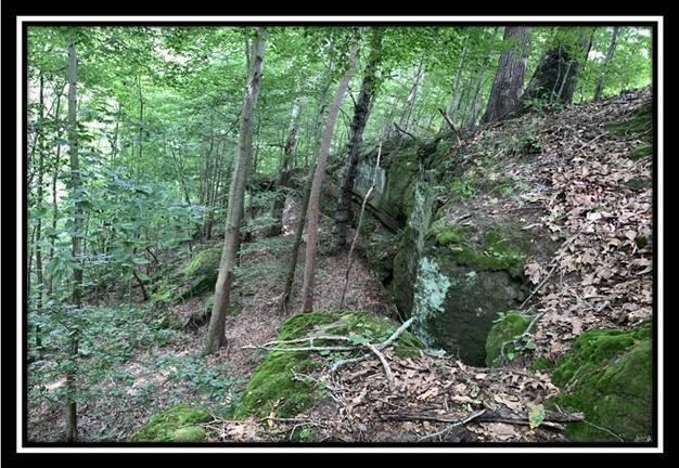 1391 Tennant Road, Unit TRACT 1) Ray, OH 45672 - Photo 59 of 67 image059