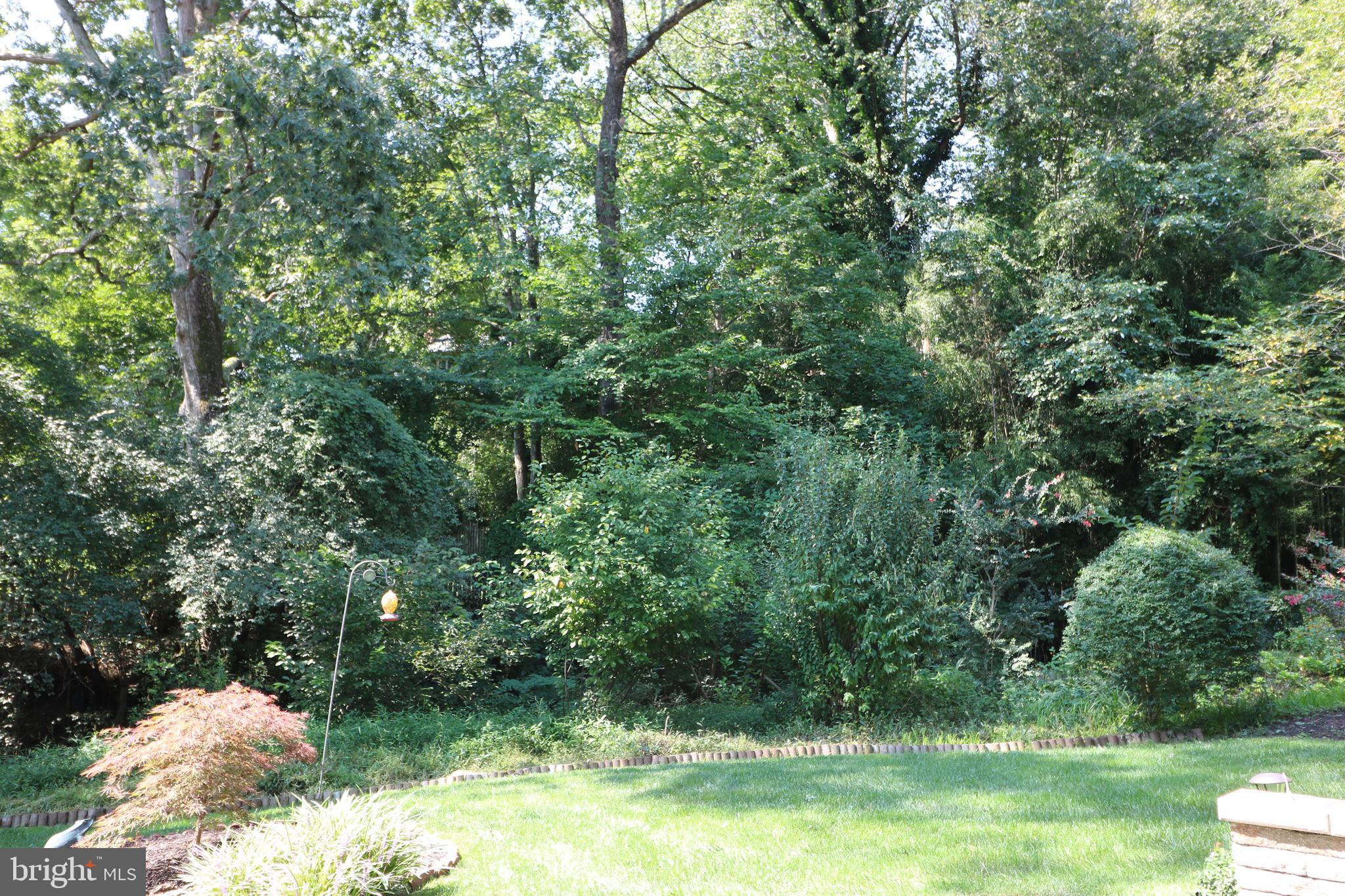 4902 Old Well Road Annandale, VA 22003 - Photo 62 of 62