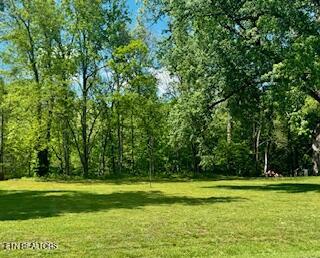 Riverview Road Townsend, TN 37882 - Photo 2 of 2 IMG_0766 (1)