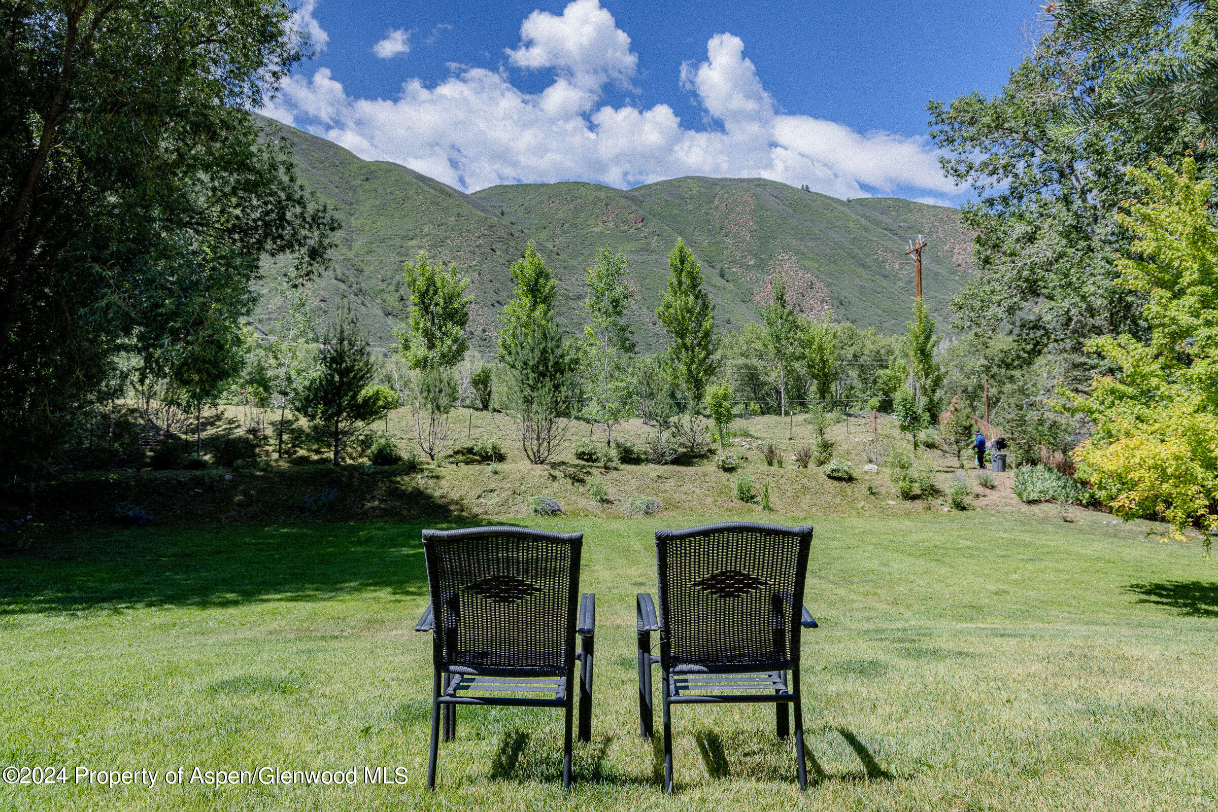 32 Nathan Lane Basalt, CO 81621 - Photo 14 of 48 Backyard