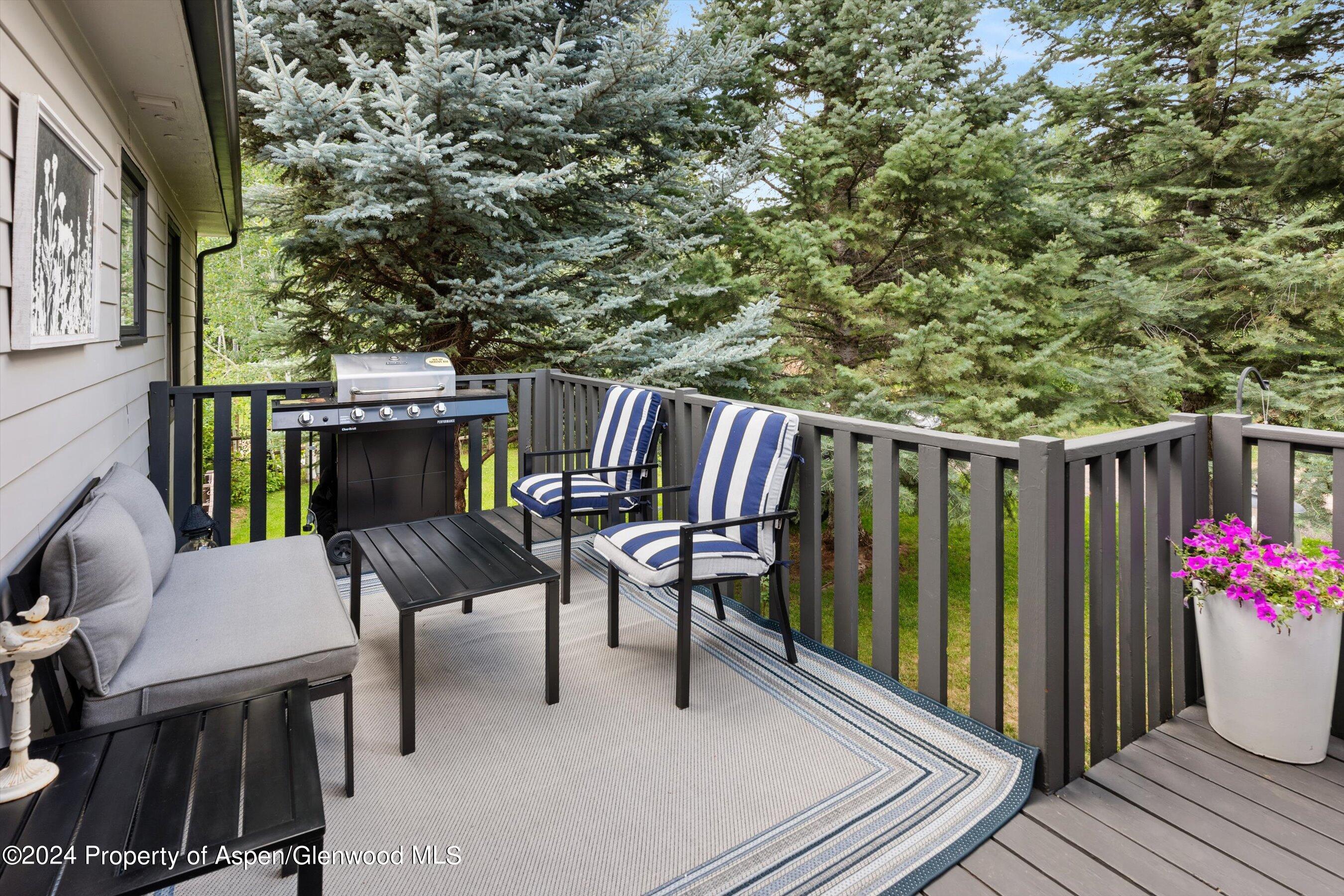 32 Nathan Lane Basalt, CO 81621 - Photo 24 of 48 Outdoor Terrace