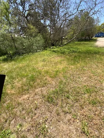 a view of a yard with a trees