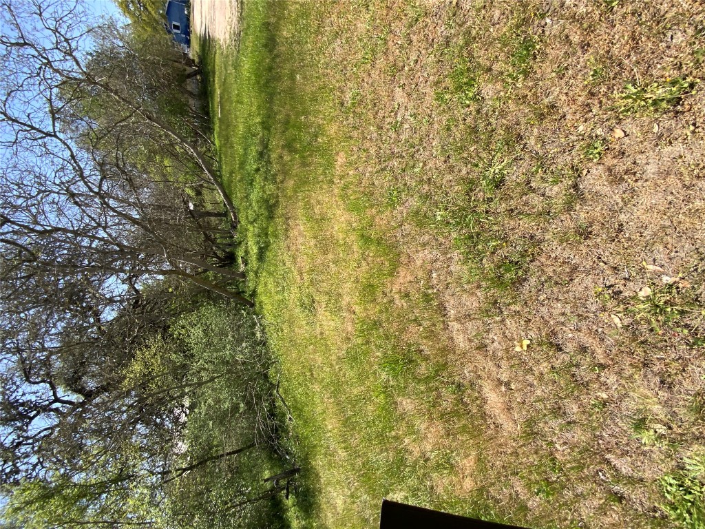 501 Monument Street Lockhart, TX 78644 - Photo 3 of 5 a view of a yard with a trees