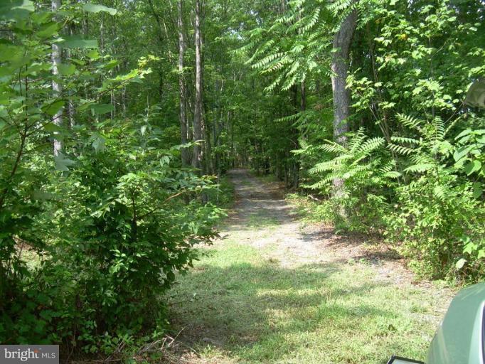 2851 Doctors Road Louisa, VA 23093 - Photo 3 of 7 Driveway