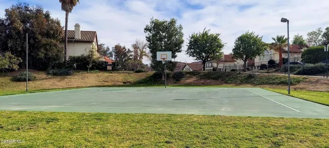 a view of a park with large trees