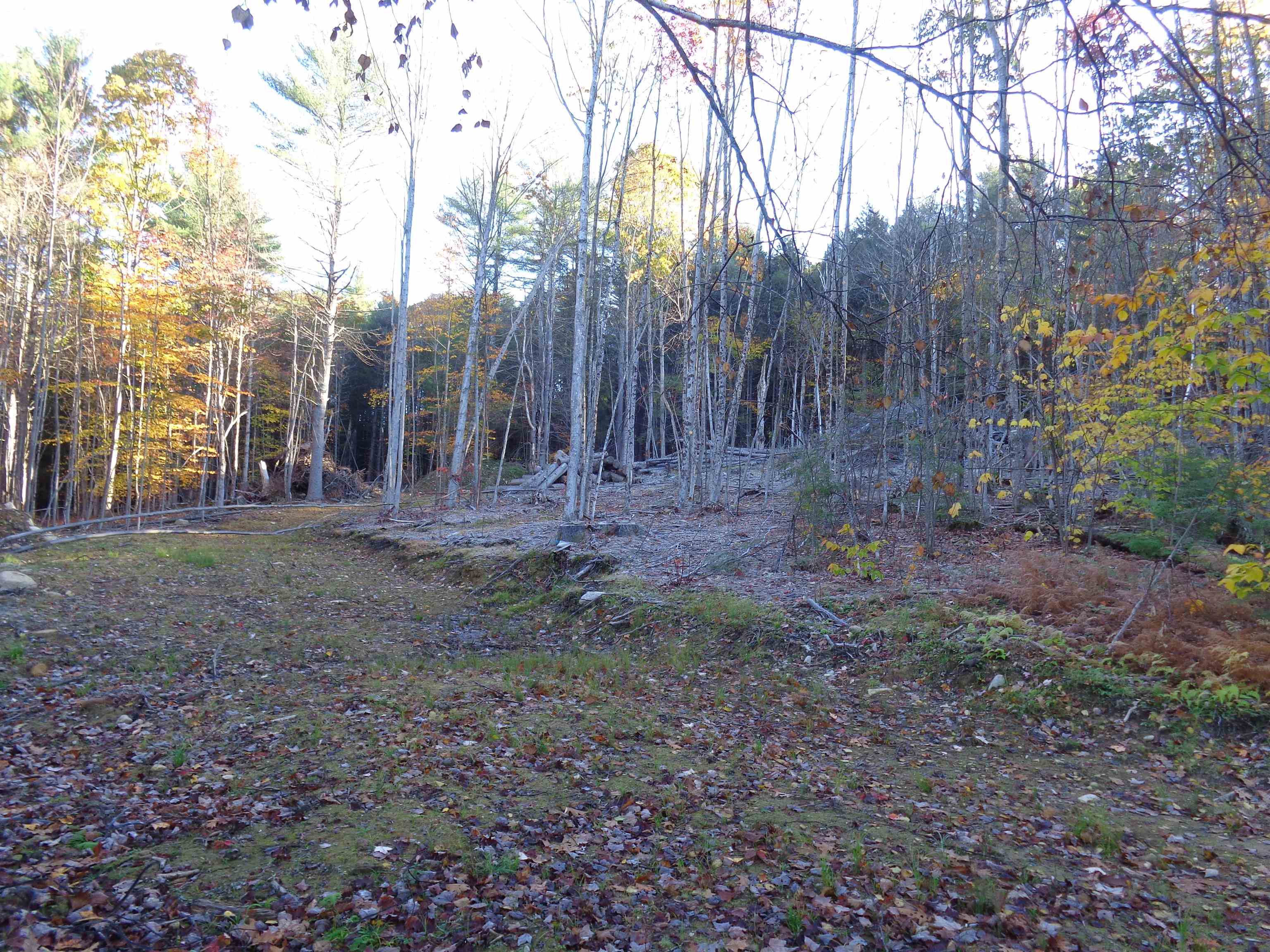 Lot 2 Berry Road Alexandria, NH 03222 - Photo 11 of 22
