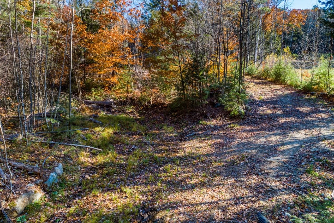 Lot 2 Berry Road Alexandria, NH 03222 - Photo 22 of 22