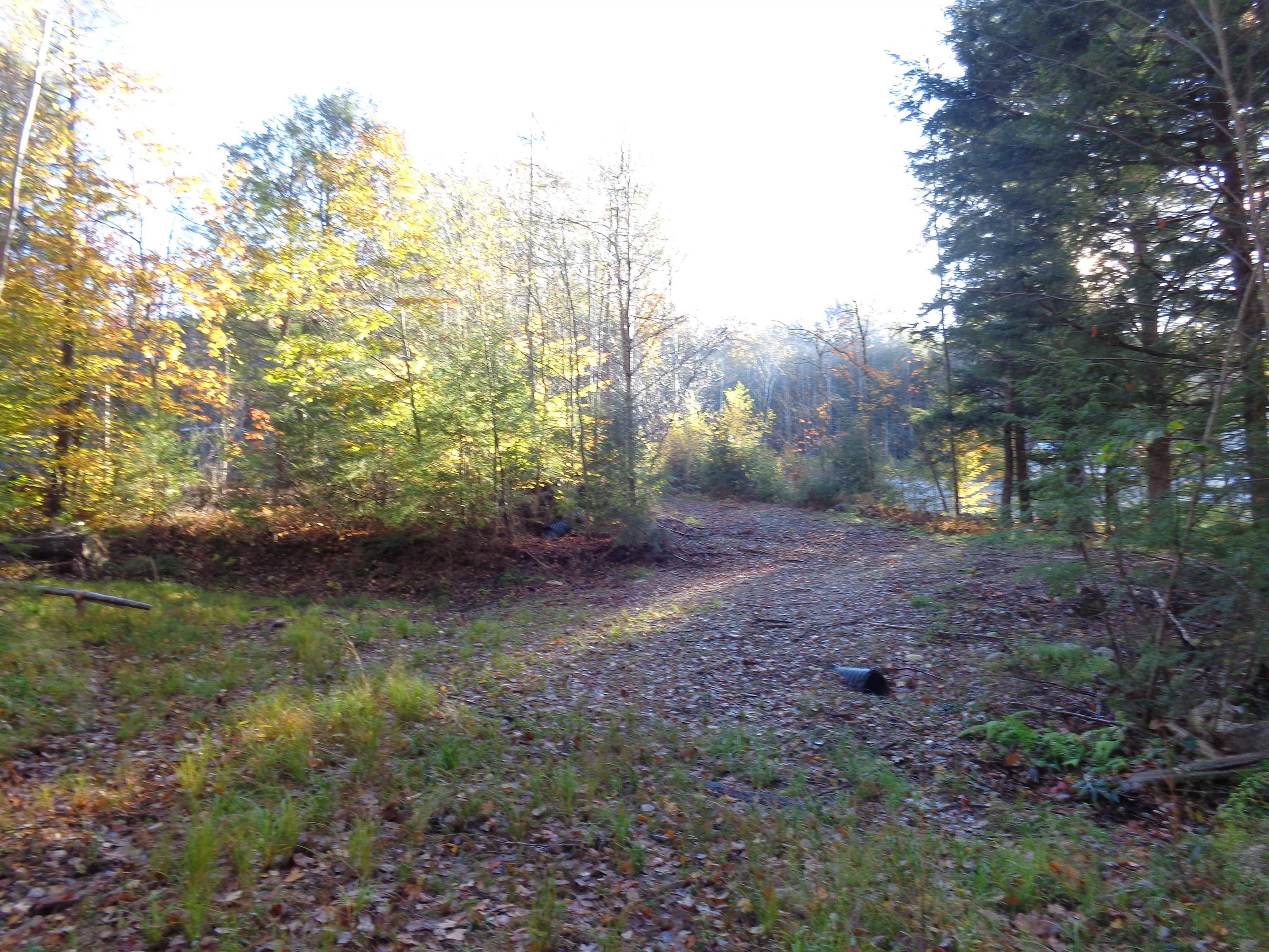 Lot 2 Berry Road Alexandria, NH 03222 - Photo 5 of 22