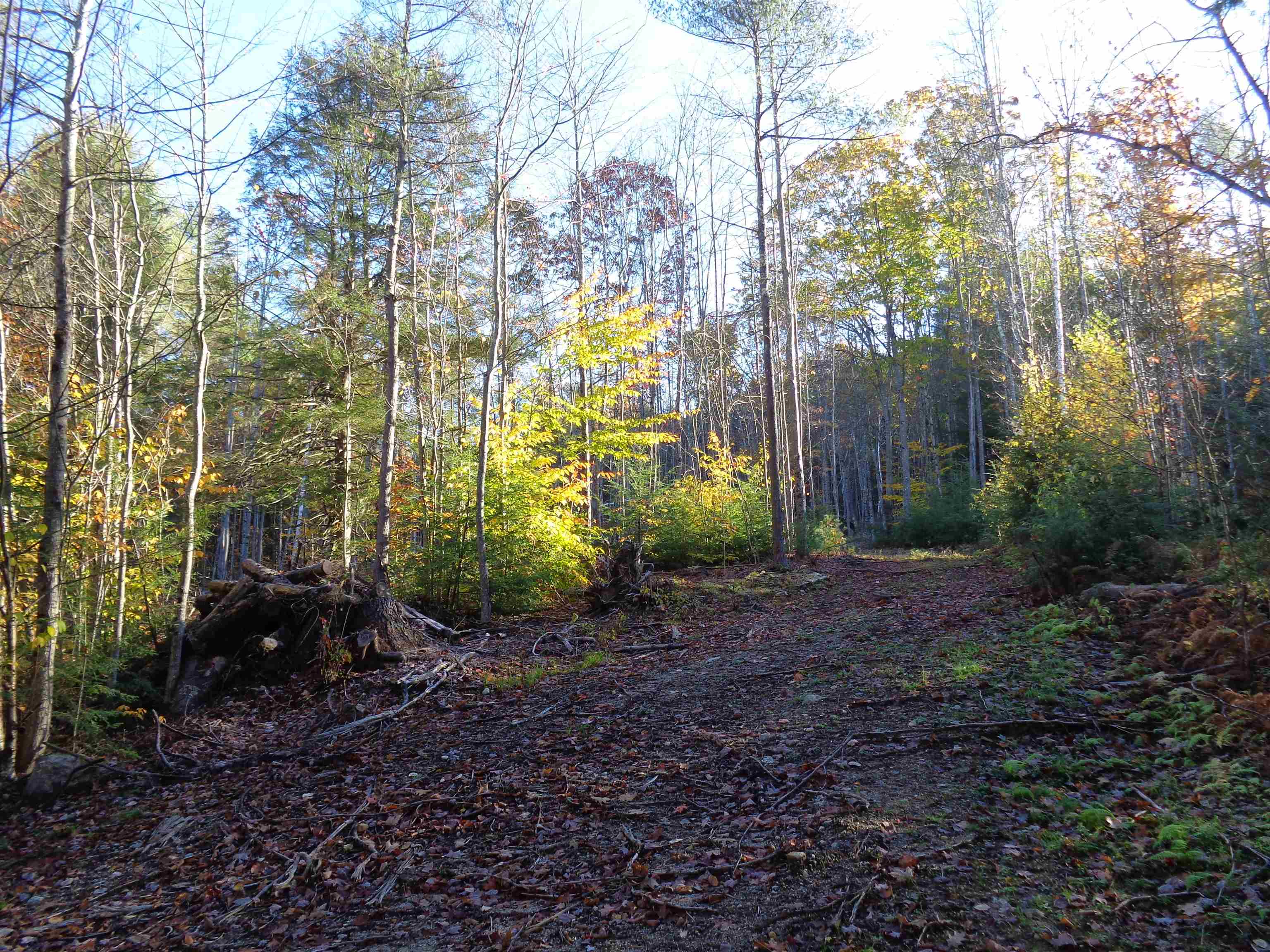 Lot 2 Berry Road Alexandria, NH 03222 - Photo 6 of 22