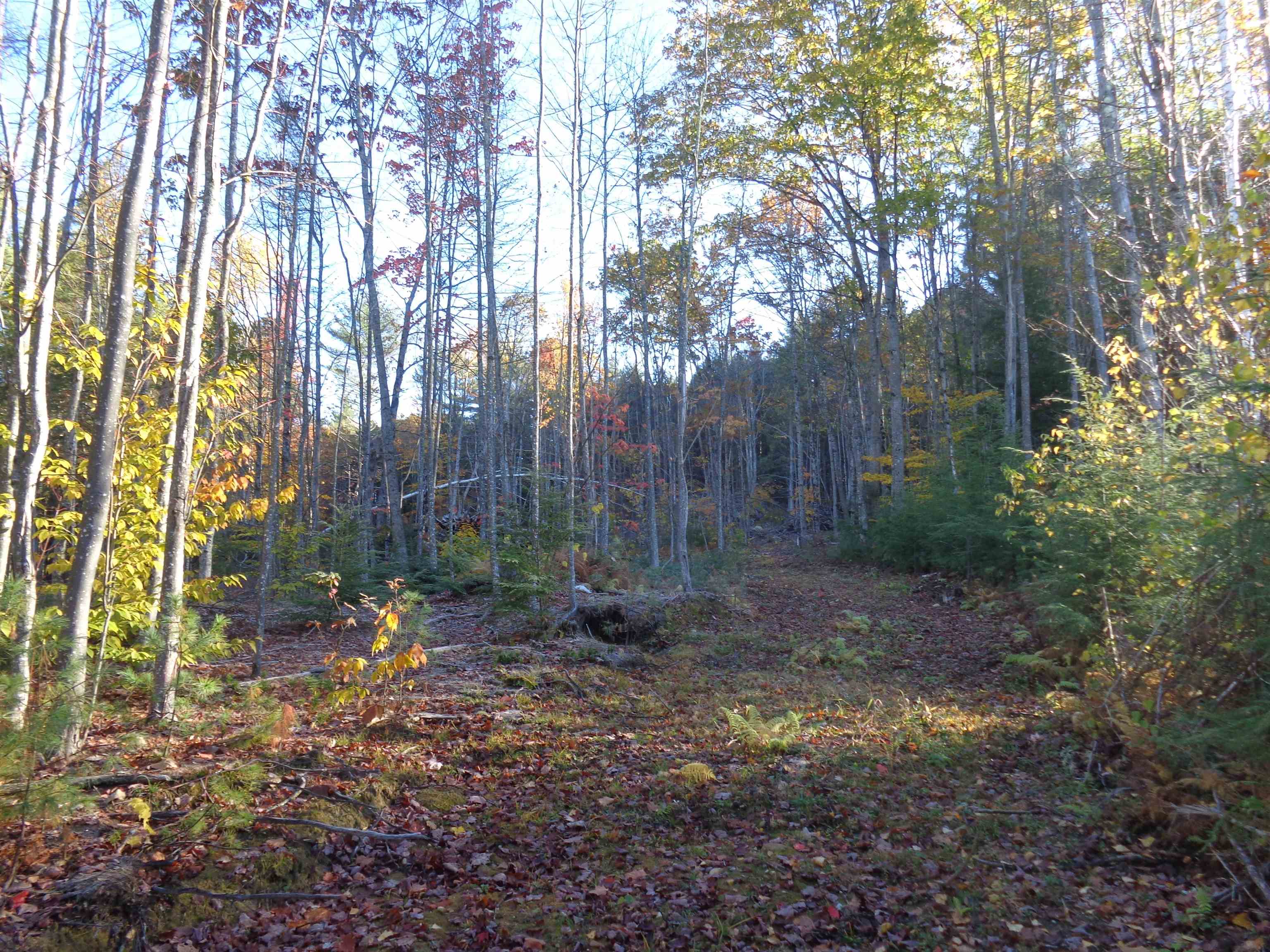 Lot 2 Berry Road Alexandria, NH 03222 - Photo 7 of 22