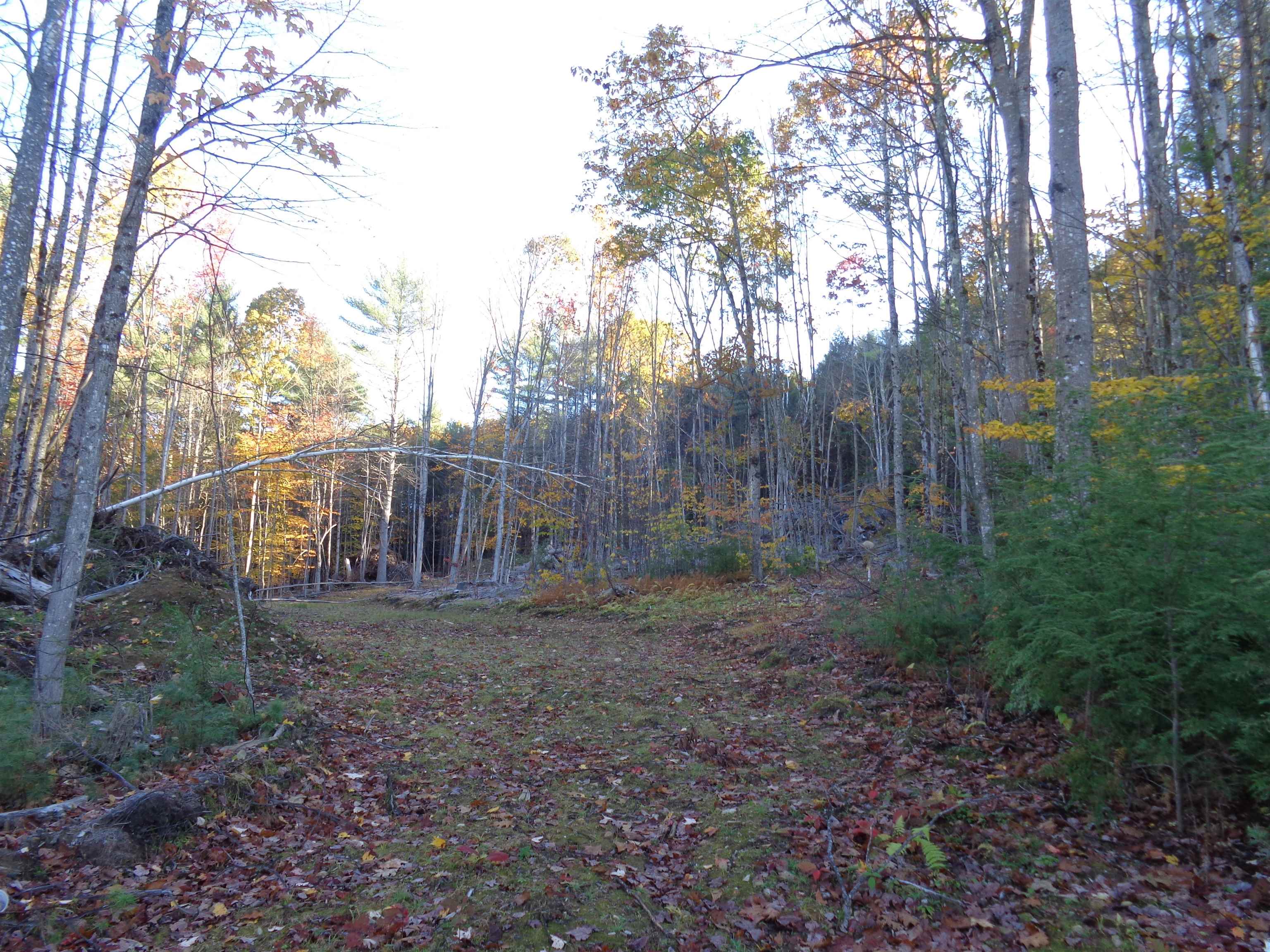 Lot 2 Berry Road Alexandria, NH 03222 - Photo 8 of 22