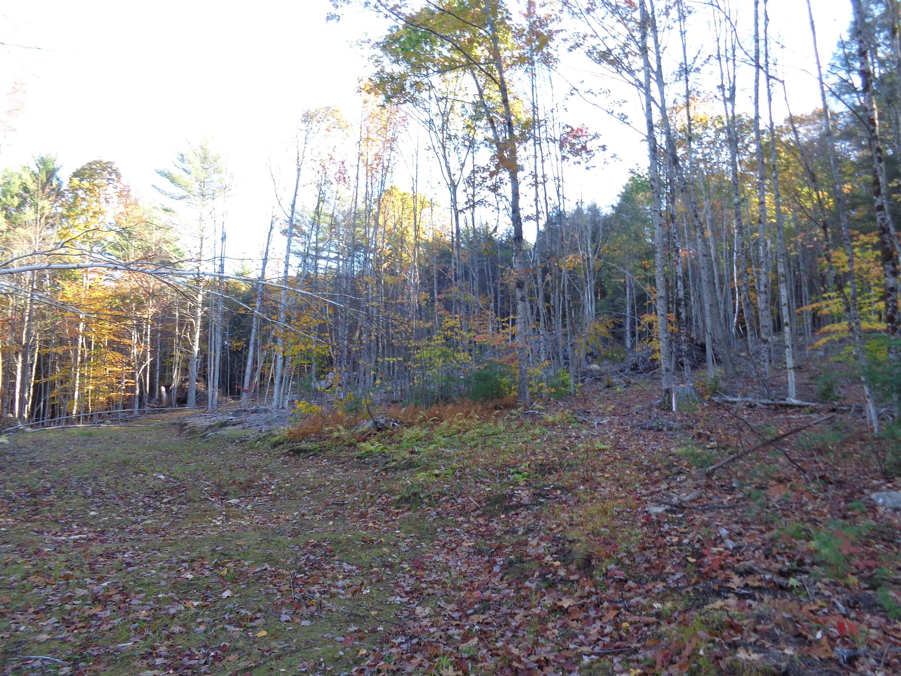 Lot 2 Berry Road Alexandria, NH 03222 - Photo 9 of 22