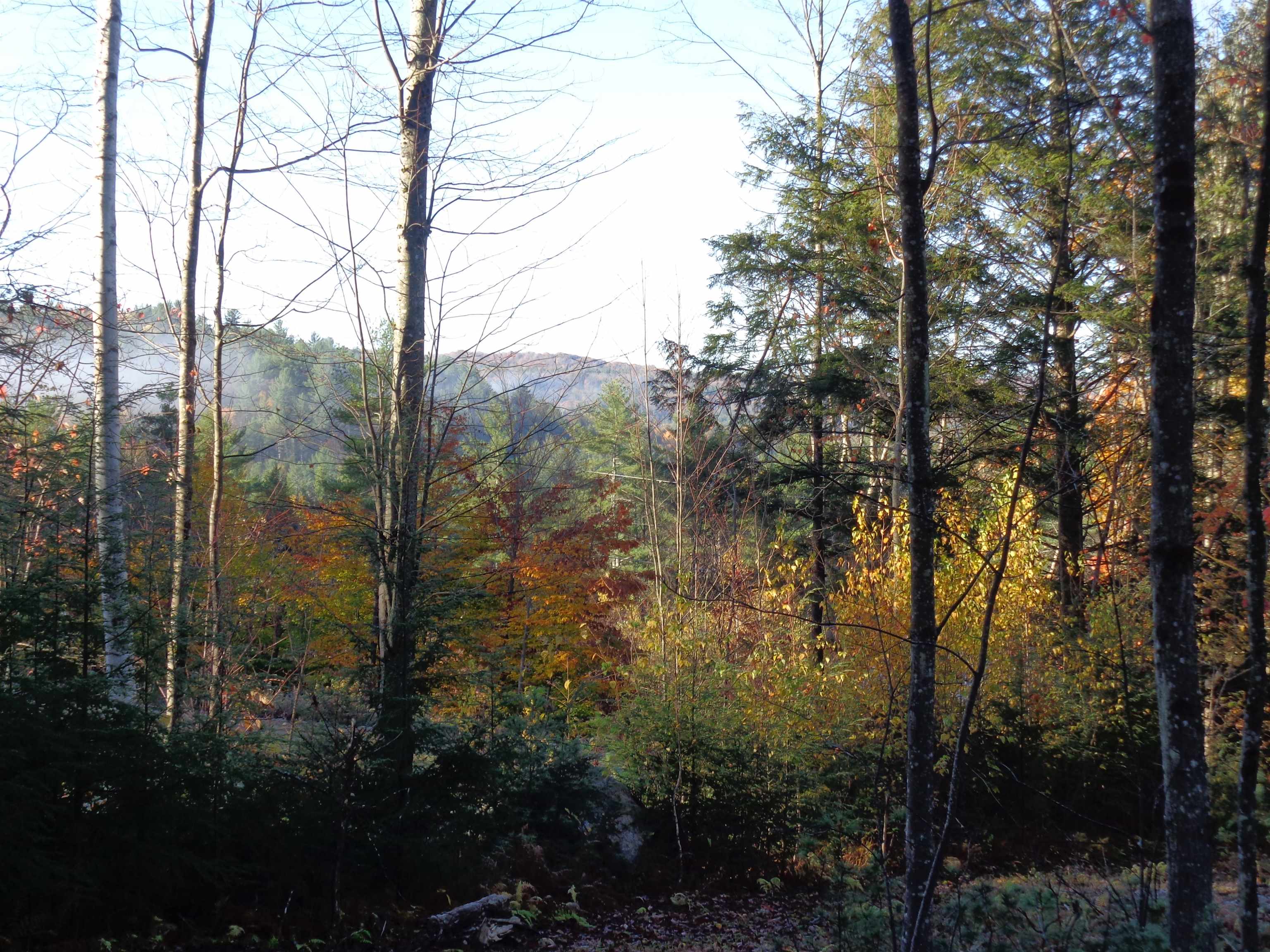 Lot 2 Berry Road Alexandria, NH 03222 - Photo 10 of 22