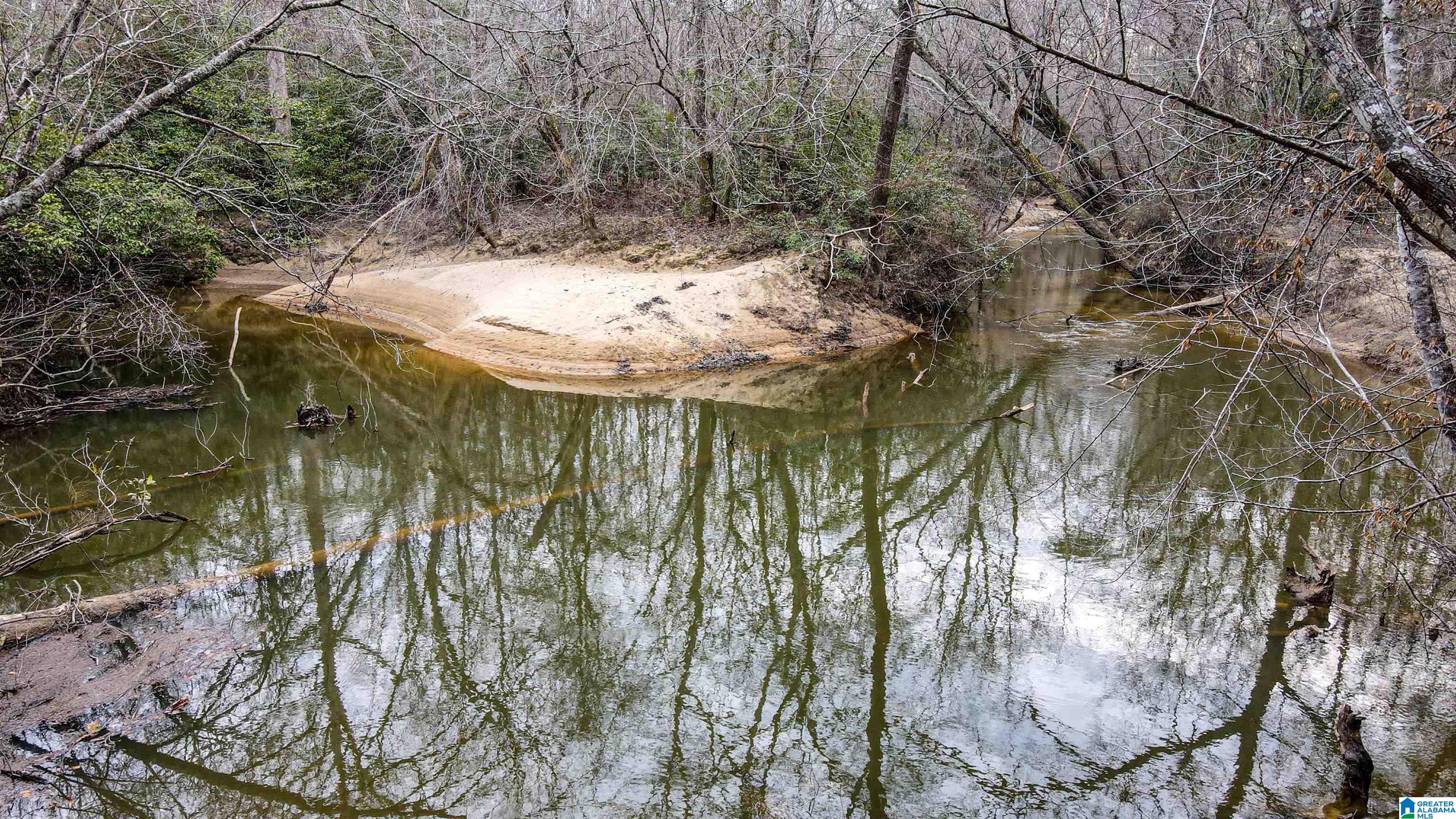 339 County Road Nauvoo, AL 35578 - Photo 10 of 57