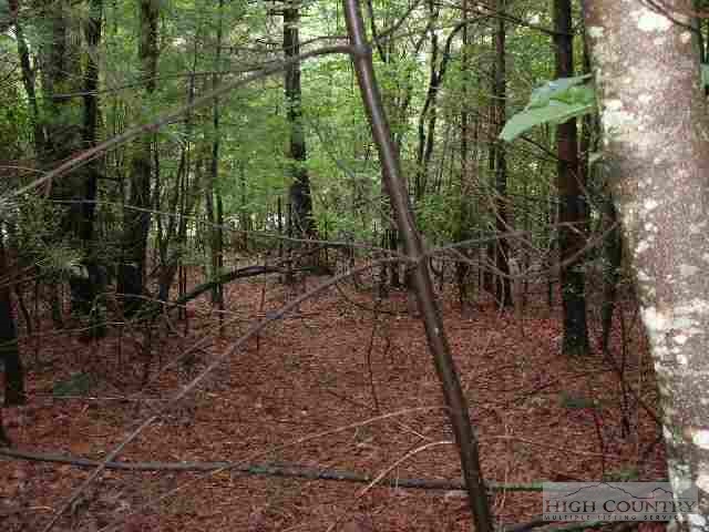 Lot 11 Patton's Ridge Road Deep Gap, NC 28618 - Photo 1 of 1 a view of a forest with trees