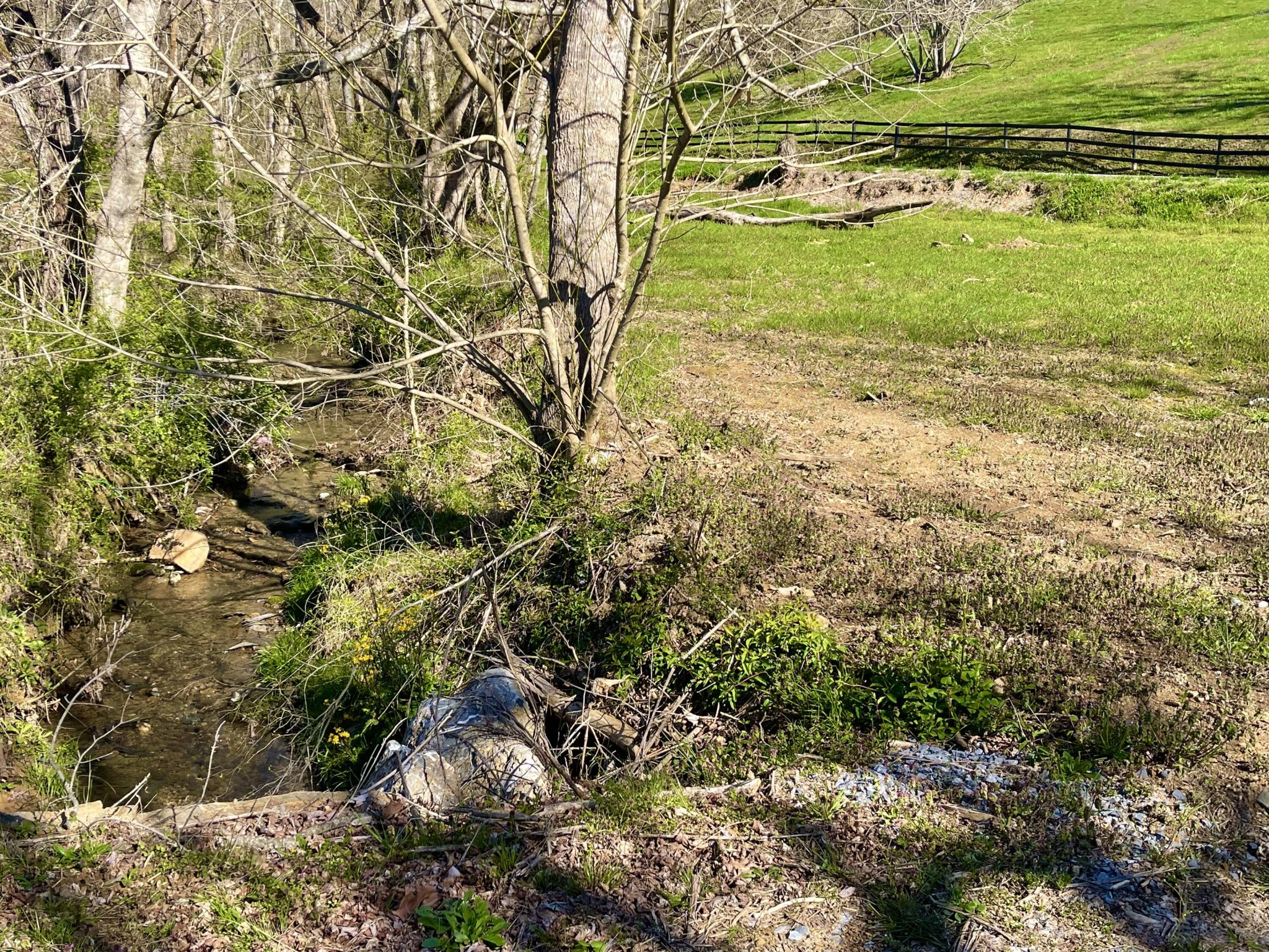 35 Pleasant Valley Road Cosby, TN 37722 - Photo 3 of 5 Gallery Image 3