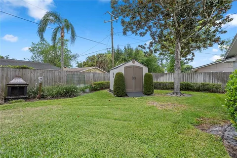 a view of a backyard with plants and a large tree