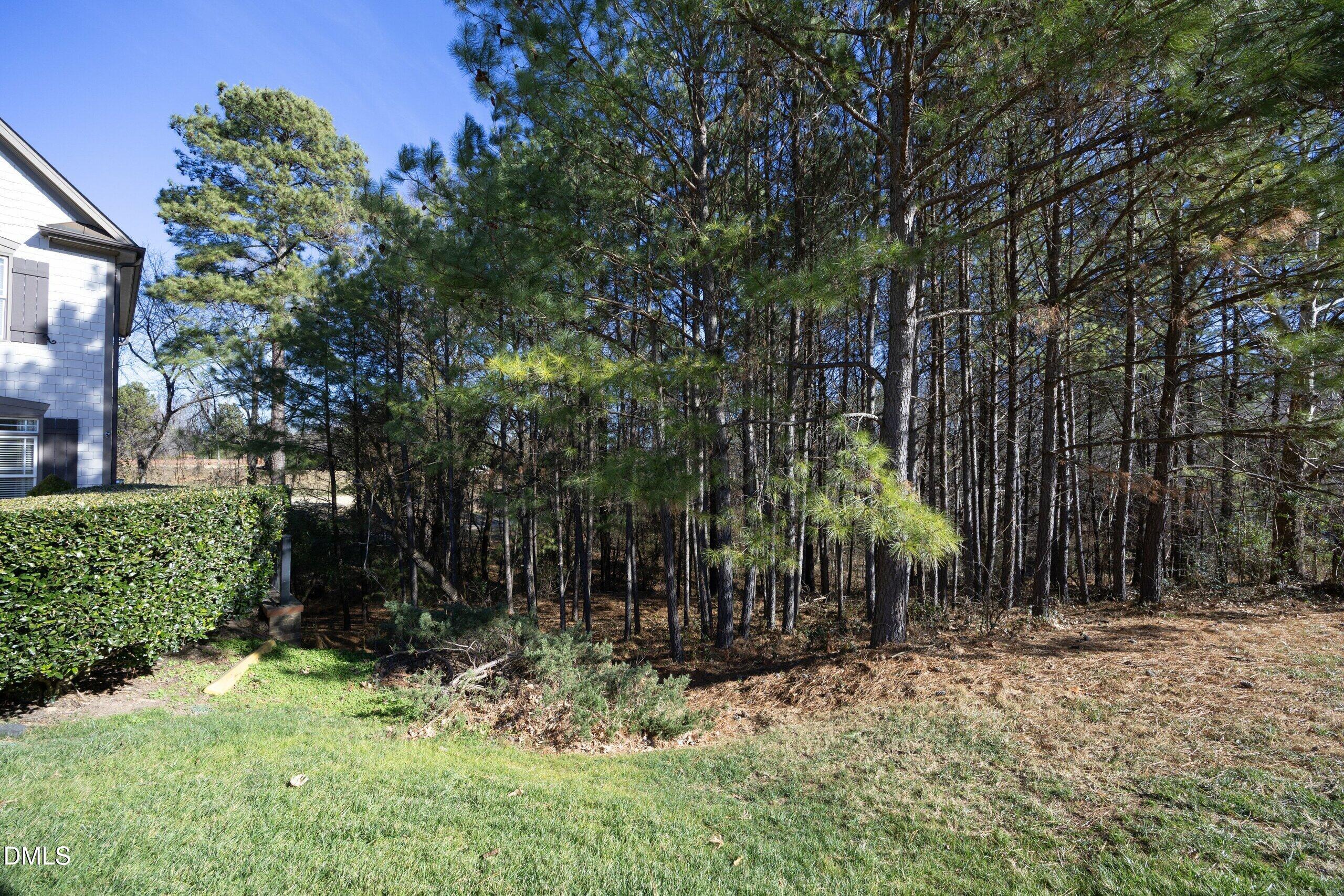2705 Peachleaf Street Raleigh, NC 27614 - Photo 42 of 52 07WoodedSideArea