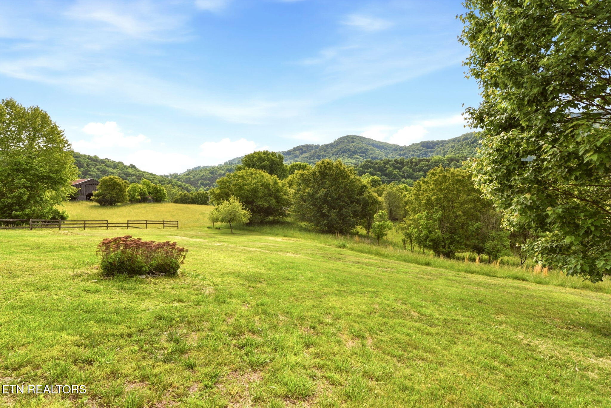 357 Neal Road Tazewell, TN 37879 - Photo 39 of 52 39-web-or-mls-DSC_9699