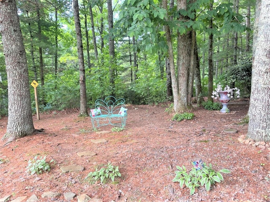 155 Spring Bud Road Fancy Gap, VA 24328 - Photo 38 of 39 Gallery Image 38