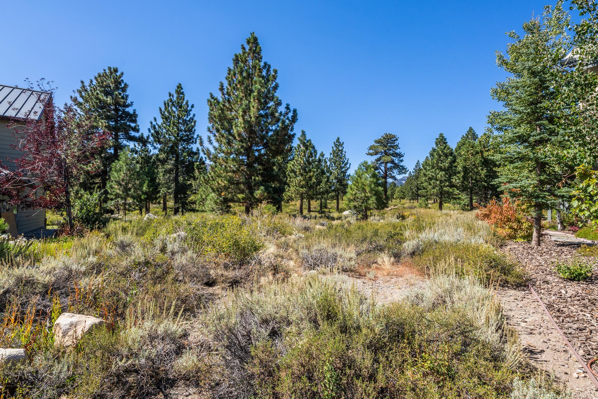 22 Hub Circle Mammoth Lakes, CA 93546 - Photo 14 of 17