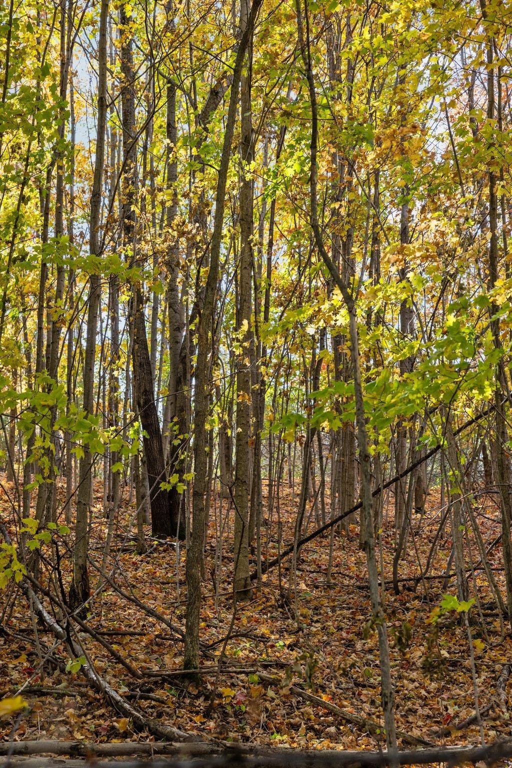 4525 Strait Road Traverse City, MI 49685 - Photo 61 of 67