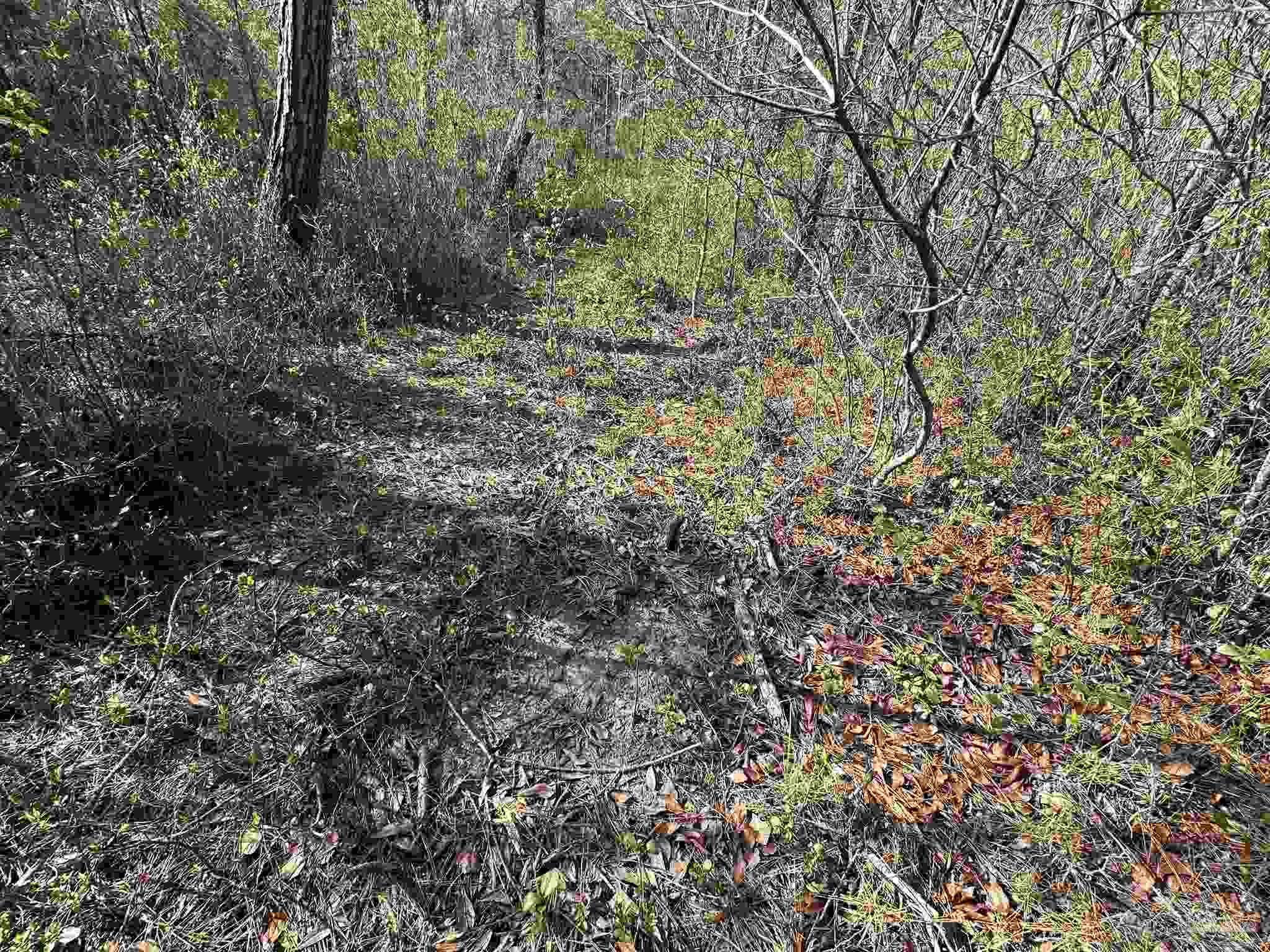 Lot A1 Snyder Road Frisco City, AL 36445 - Photo 11 of 30