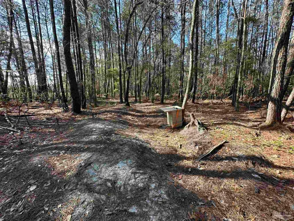 a view of outdoor space with trees