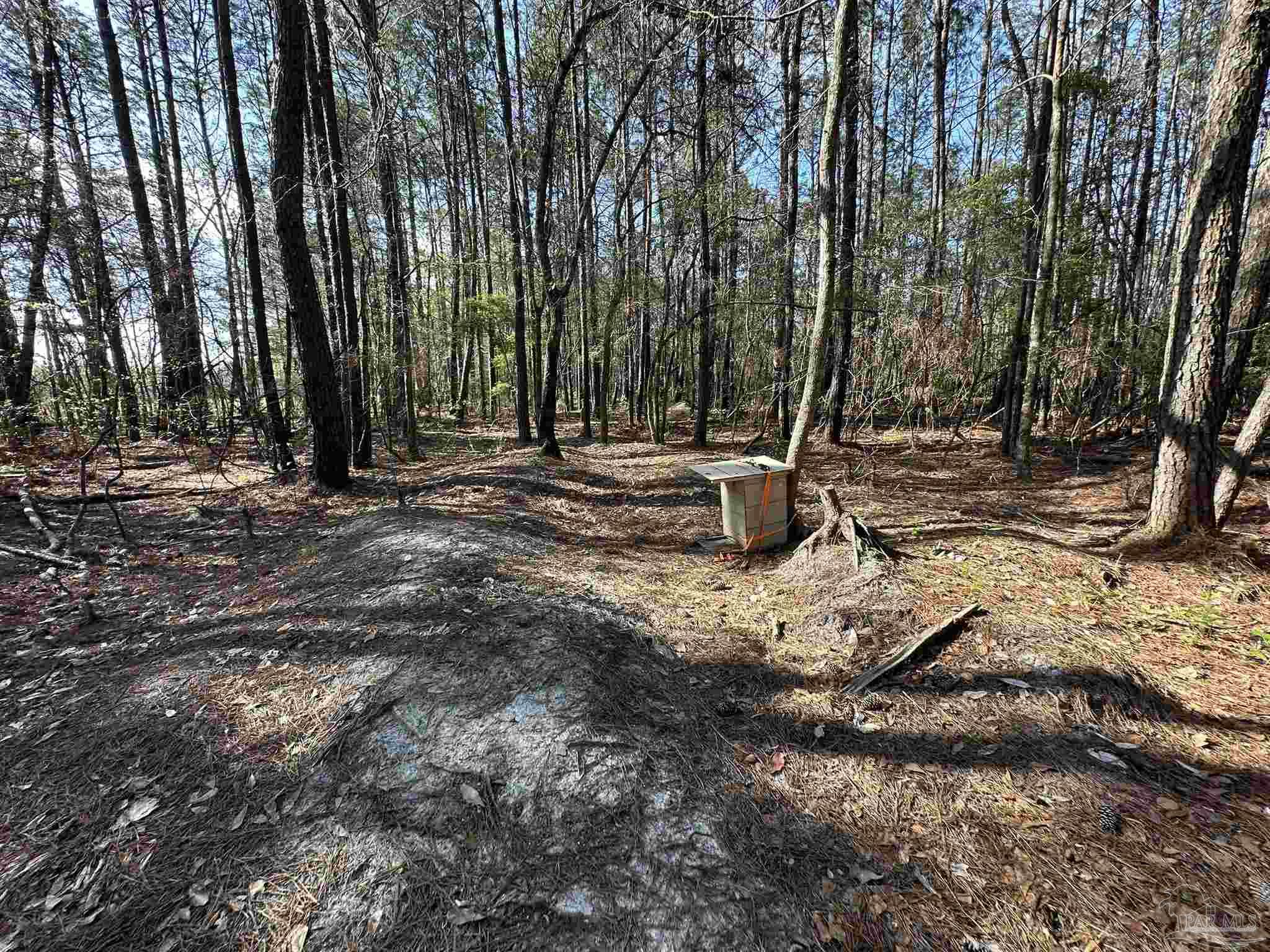 Lot A1 Snyder Road Frisco City, AL 36445 - Photo 13 of 30