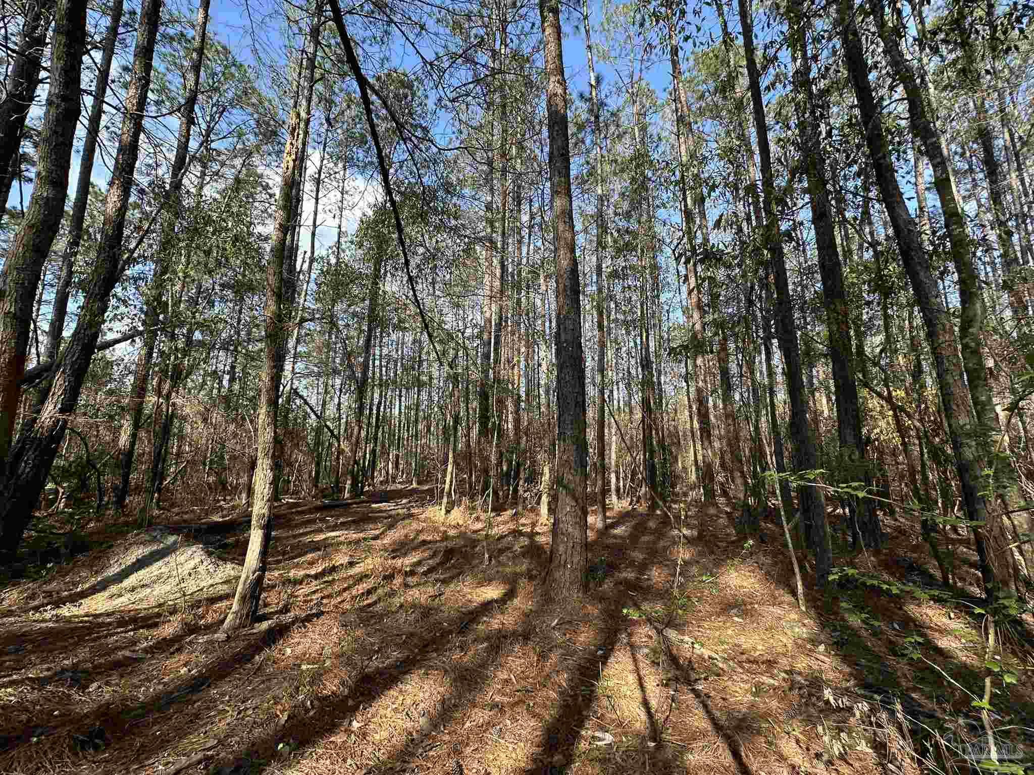 Lot A1 Snyder Road Frisco City, AL 36445 - Photo 14 of 30