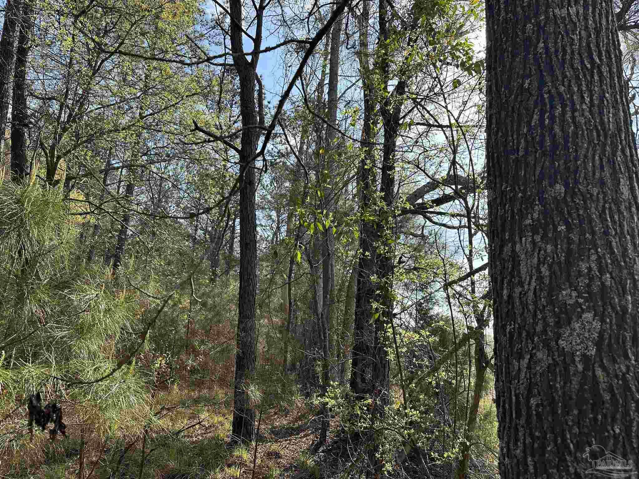 Lot A1 Snyder Road Frisco City, AL 36445 - Photo 17 of 30