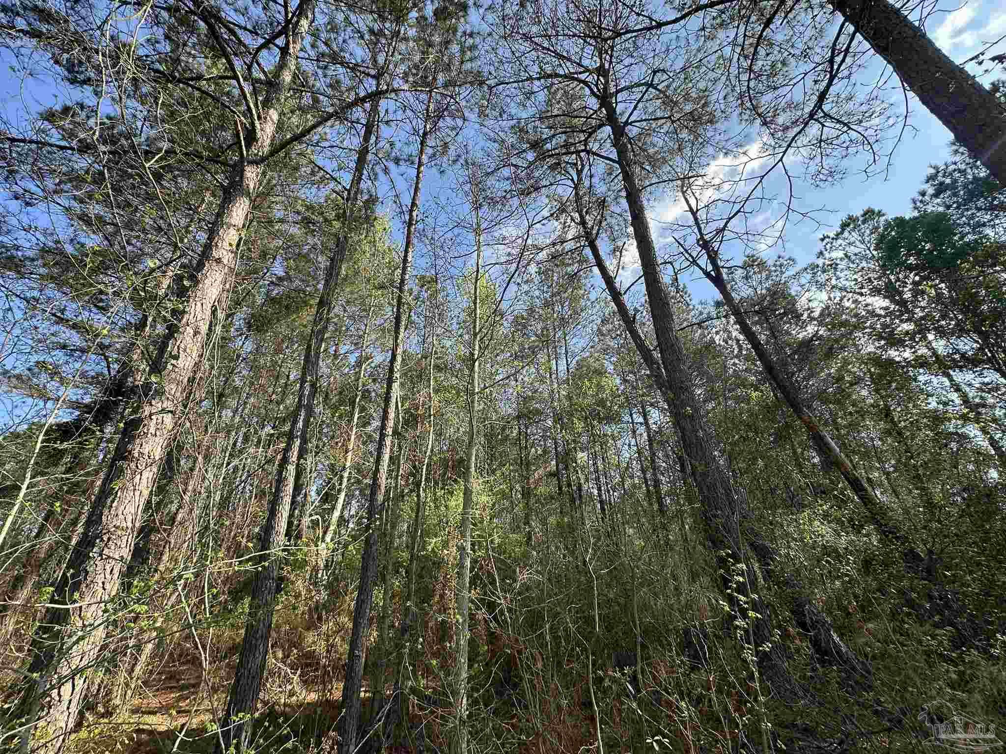 Lot A1 Snyder Road Frisco City, AL 36445 - Photo 18 of 30