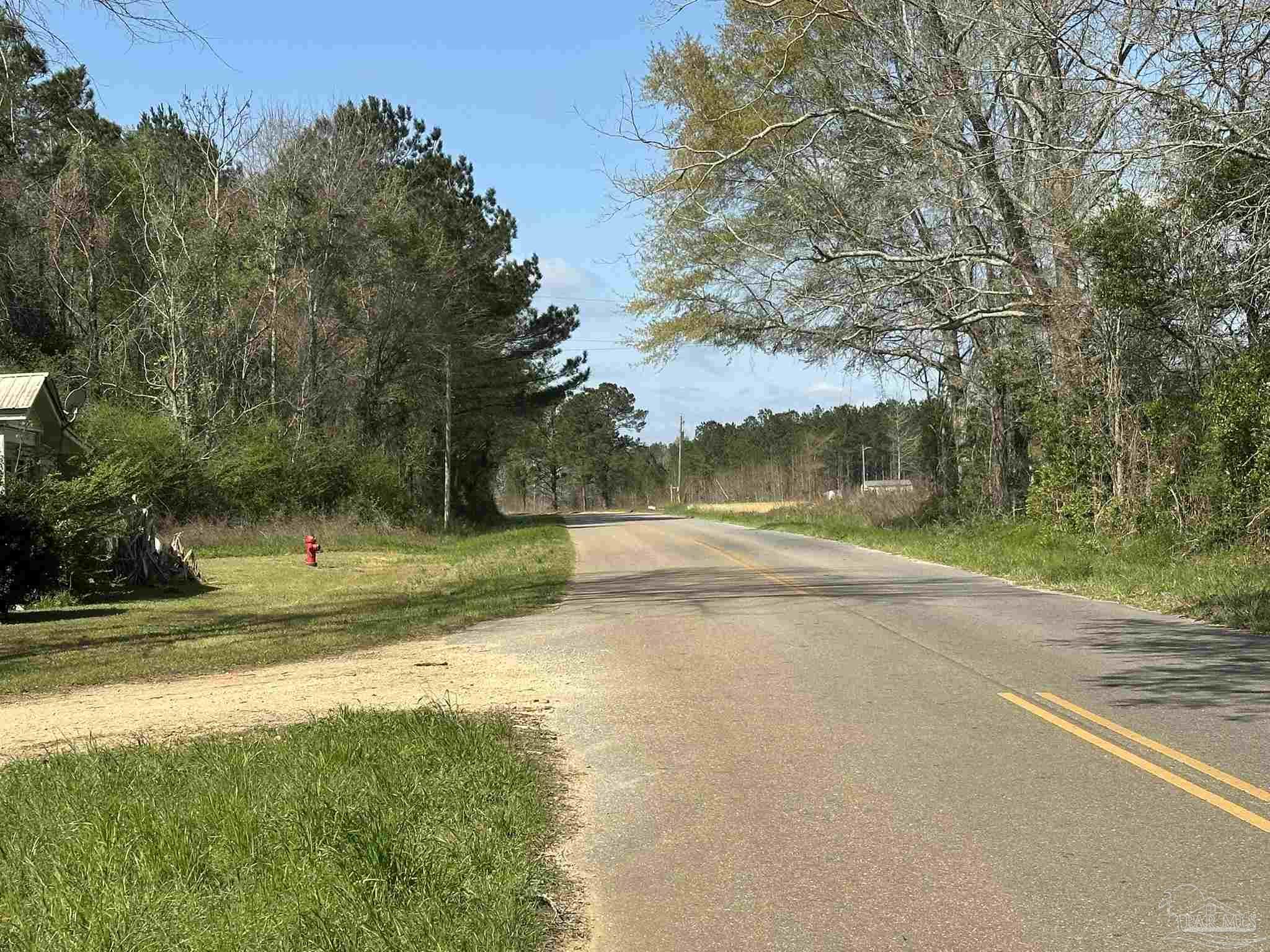 Lot A1 Snyder Road Frisco City, AL 36445 - Photo 21 of 30