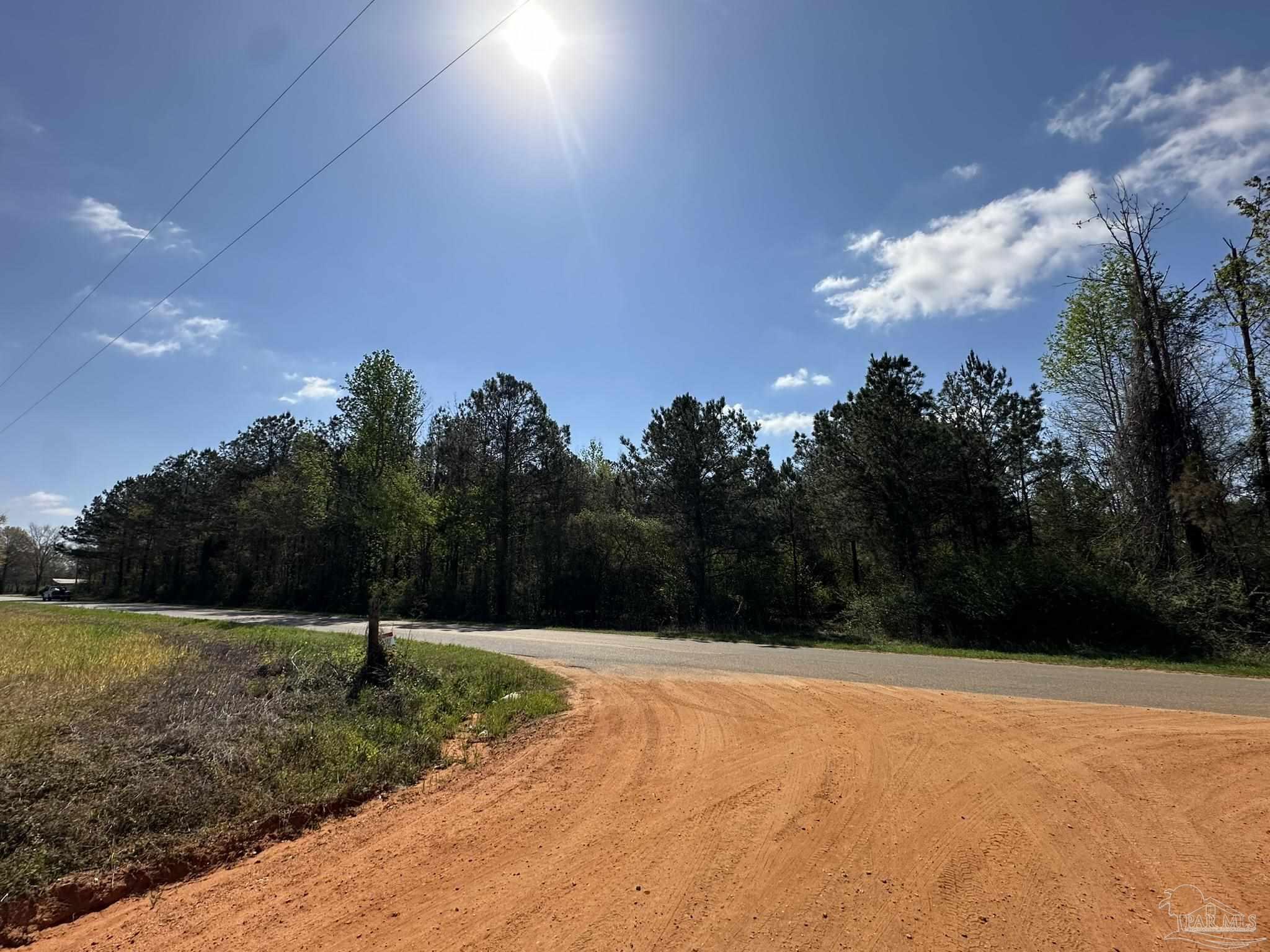 Lot A1 Snyder Road Frisco City, AL 36445 - Photo 24 of 30